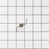 L-G Refrigerator Door Spring for Flapper MHY62044103 >> NLA <<